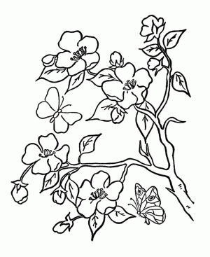 flowers-coloring-pages-with-butterfly