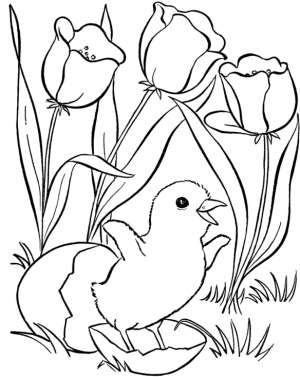Spring-Flowers-Coloring-Book-Pages
