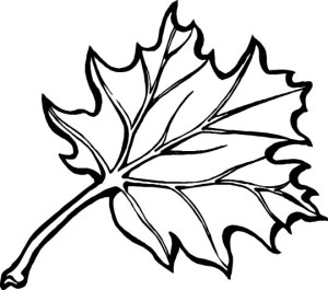 thanksgiving-coloring-pages-leaves